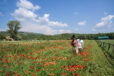 Celebrity Cruises, Shore Excursions 1, Copyrights - CEL.jpg